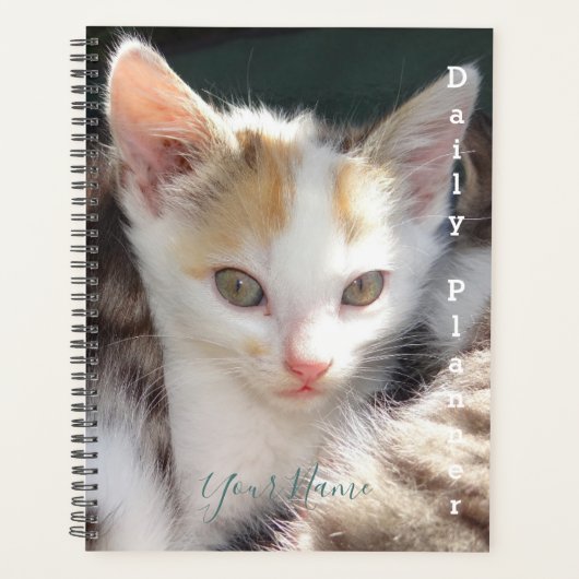 Kat - Daily Planner - HAMbWG (Voorkant)