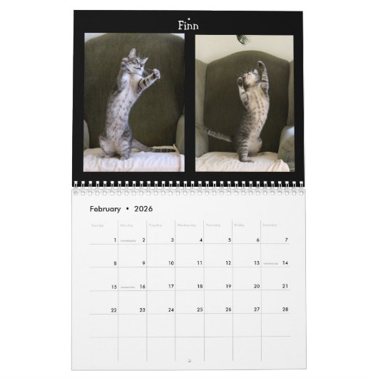 Kat Dansend - Agenda 2018 Kalender (Feb 2026)