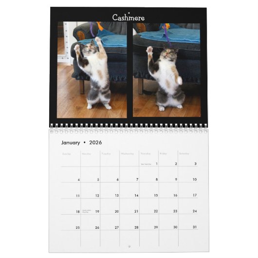 Kat Dansend - Agenda 2018 Kalender (Jan 2026)