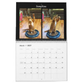 Kat Dansend - Agenda 2018 Kalender (Mar 2027)