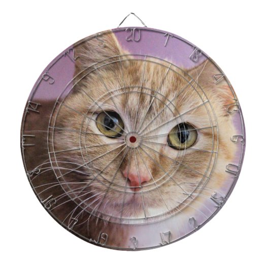Kat Dartbord (Voorkant)