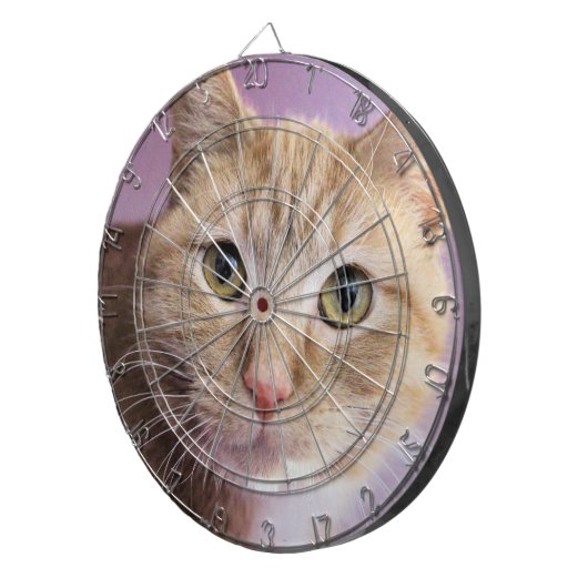 Kat Dartbord (Voorkant Rechts)