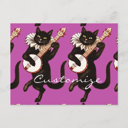 Kat dat Banjo Thunder_Cove speelt Briefkaart (Voorkant)