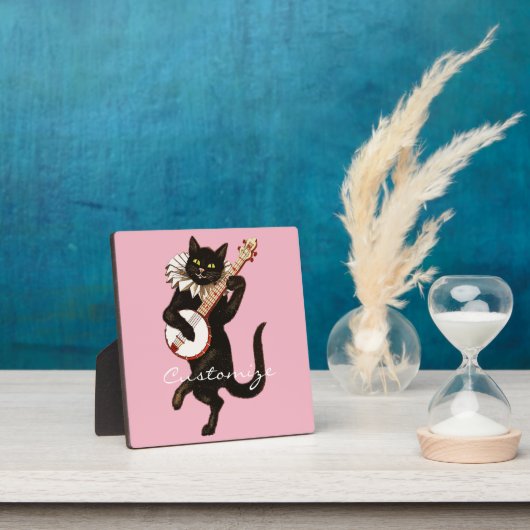 Kat dat Banjo Thunder_Cove speelt Fotoplaat (Insitu)