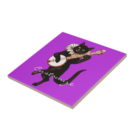 Kat dat Banjo Thunder_Cove speelt Tegeltje (Zijkant)