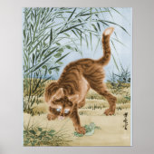 Kat dat een kikker vangt poster (Voorkant)
