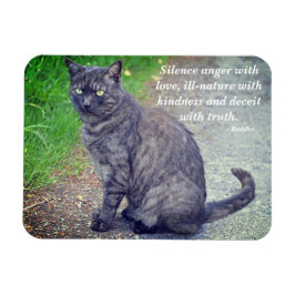 Kat dat II Motivatie boeddhistische prijsopgave be Magneet