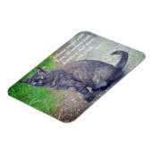 Kat dat II Motivatie boeddhistische prijsopgave be Magneet (Linkerzijde)