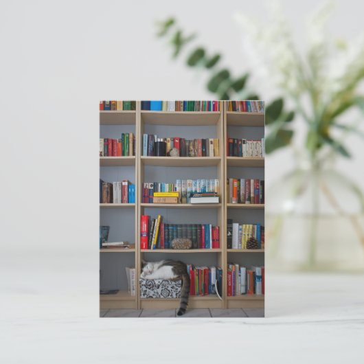Kat dat in boekenboeken in de boekenwinkel slapen briefkaart (Staand voorkant)