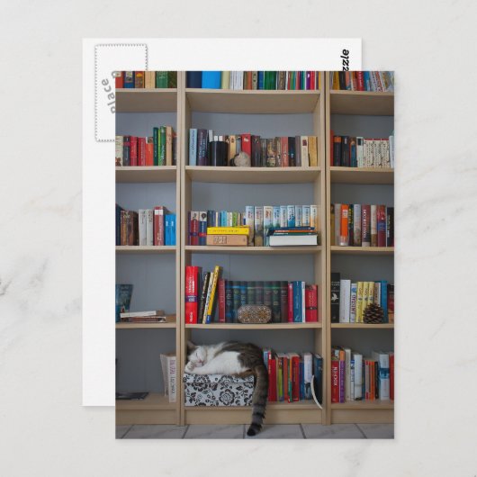 Kat dat in boekenboeken in de boekenwinkel slapen briefkaart (Voorkant / Achterkant)