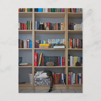 Kat dat in boekenboeken in de boekenwinkel slapen briefkaart