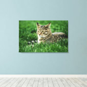 Kat dat in gras ligt canvas afdruk (Insitu (Houten vloer))