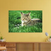 Kat dat in gras ligt canvas afdruk (Insitu (Woonkamer))