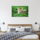 Kat dat in gras ligt canvas afdruk (Insitu (Slaapkamer))