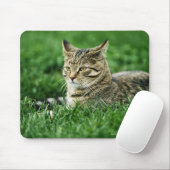 Kat dat in gras ligt muismat (Met muis)