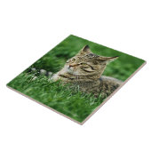 Kat dat in gras ligt tegeltje (Zijkant)