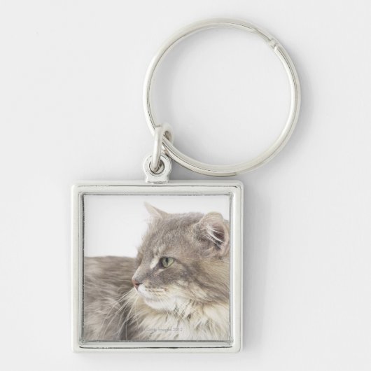 Kat dat neerligt sleutelhanger (Voorkant)