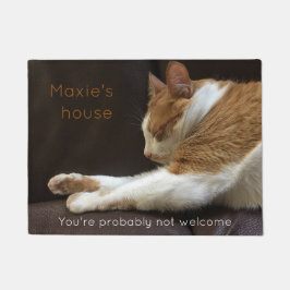 Kat dat op de sofa slapen deurmat