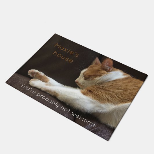 Kat dat op de sofa slapen deurmat (Schuin)