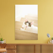 Kat dat op de trap ligt canvas afdruk (Insitu (Woonkamer))