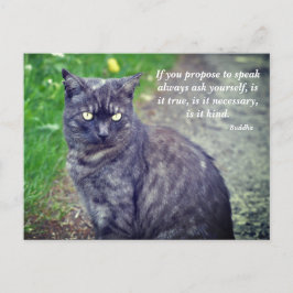 Kat dat op een Motivatie boeddhistische prijsopgav Briefkaart