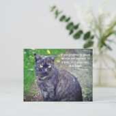 Kat dat op een Motivatie boeddhistische prijsopgav Briefkaart (Staand voorkant)