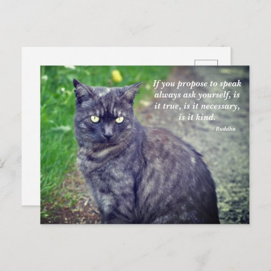 Kat dat op een Motivatie boeddhistische prijsopgav Briefkaart (Voorkant / Achterkant)