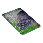 Kat dat op een Motivatie boeddhistische prijsopgav Magneet (Rechterzijde)