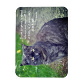 Kat dat op een Motivatie boeddhistische prijsopgav Magneet (Verticaal)