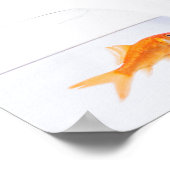 Kat dat op goudvis wordt gedrukt poster (Hoek)