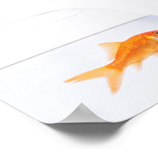 Kat dat op goudvis wordt gedrukt poster (Hoek)