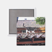 Kat dat op het dak van de schuur loopt magneet (Voorkant / Achterkant)