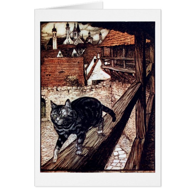 Kat dat op het spoor loopt (Voorkant)