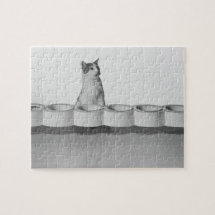 Kat dat op witte schaal naast een tapijtschuit zit legpuzzel