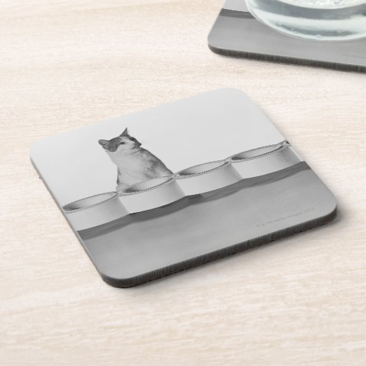 Kat dat op witte schaal naast een tapijtschuit zit onderzetter (Linkerzijde)