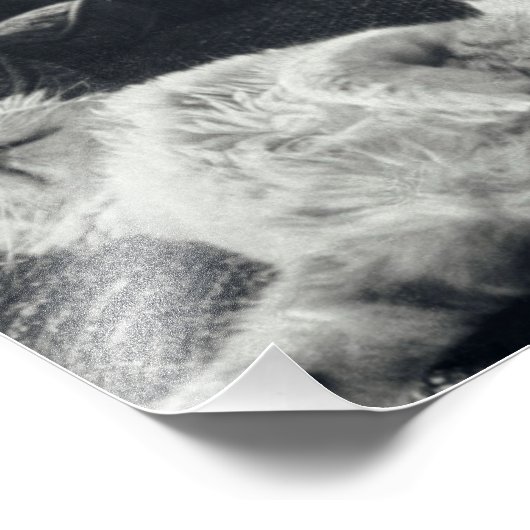 Kat dat slaapt op Kat met sofa-waardenbank Foto Afdruk (Hoek)