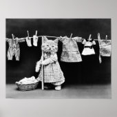 Kat dat wasgoed op de dop hangt poster (Voorkant)