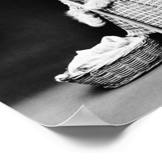 Kat dat wasgoed op de dop hangt poster (Hoek)