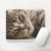 Kat, de kater, het kattenoog muismat (Met muis)
