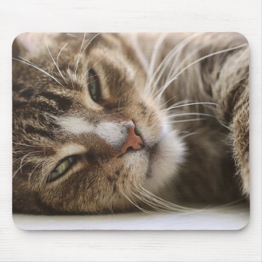 Kat, de kater, het kattenoog muismat (Voorkant)