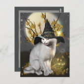 Kat de Magische Witches Cat Briefkaart (Voorkant / Achterkant)