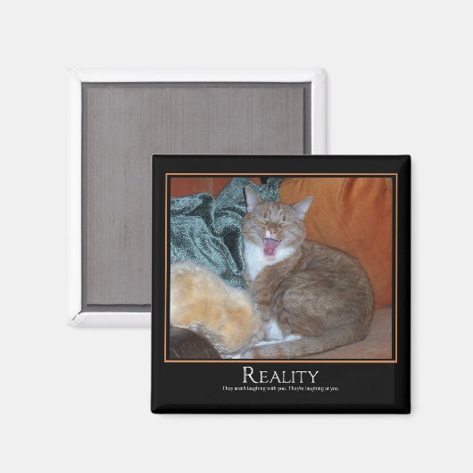 Kat Demotivator Magneet (Voorkant / Achterkant)