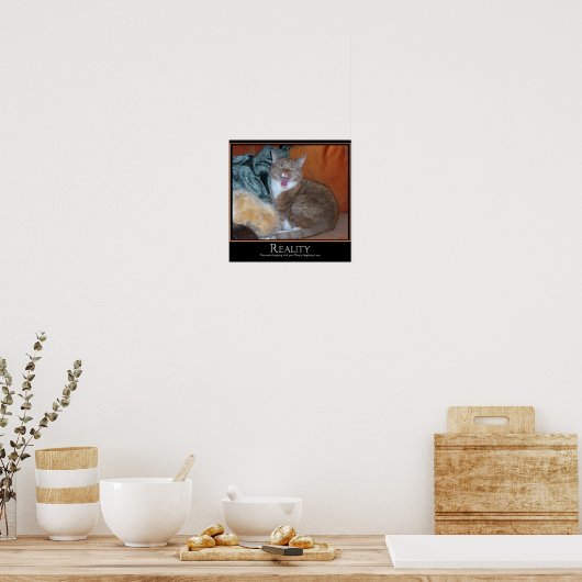 Kat Demotivator Poster (Keuken)