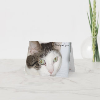 Kat - Denken aan jou Kaart