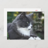 Kat Denken aan uw kaart of een gelegenheid (Voorkant / Achterkant)