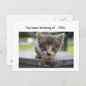 kat denkt aan jou briefkaart (Voorkant / Achterkant)