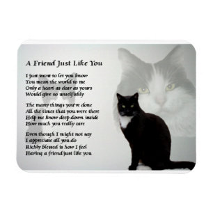 Kat Design vriend Poem Magnet Magneet