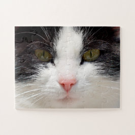 Kat dicht, eenvoudig legpuzzel