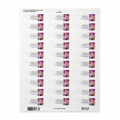 Kat die donut wil etiket (Full Sheet)