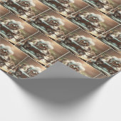 Kat die een bad neemt cadeaupapier (Hoek)